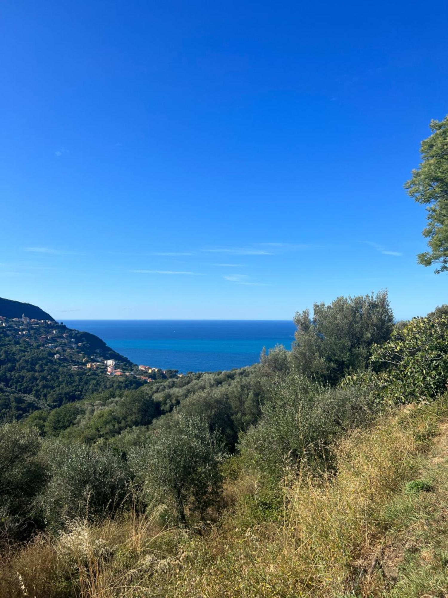 Olivetta House Holiday Moneglia Eksteriør bilde